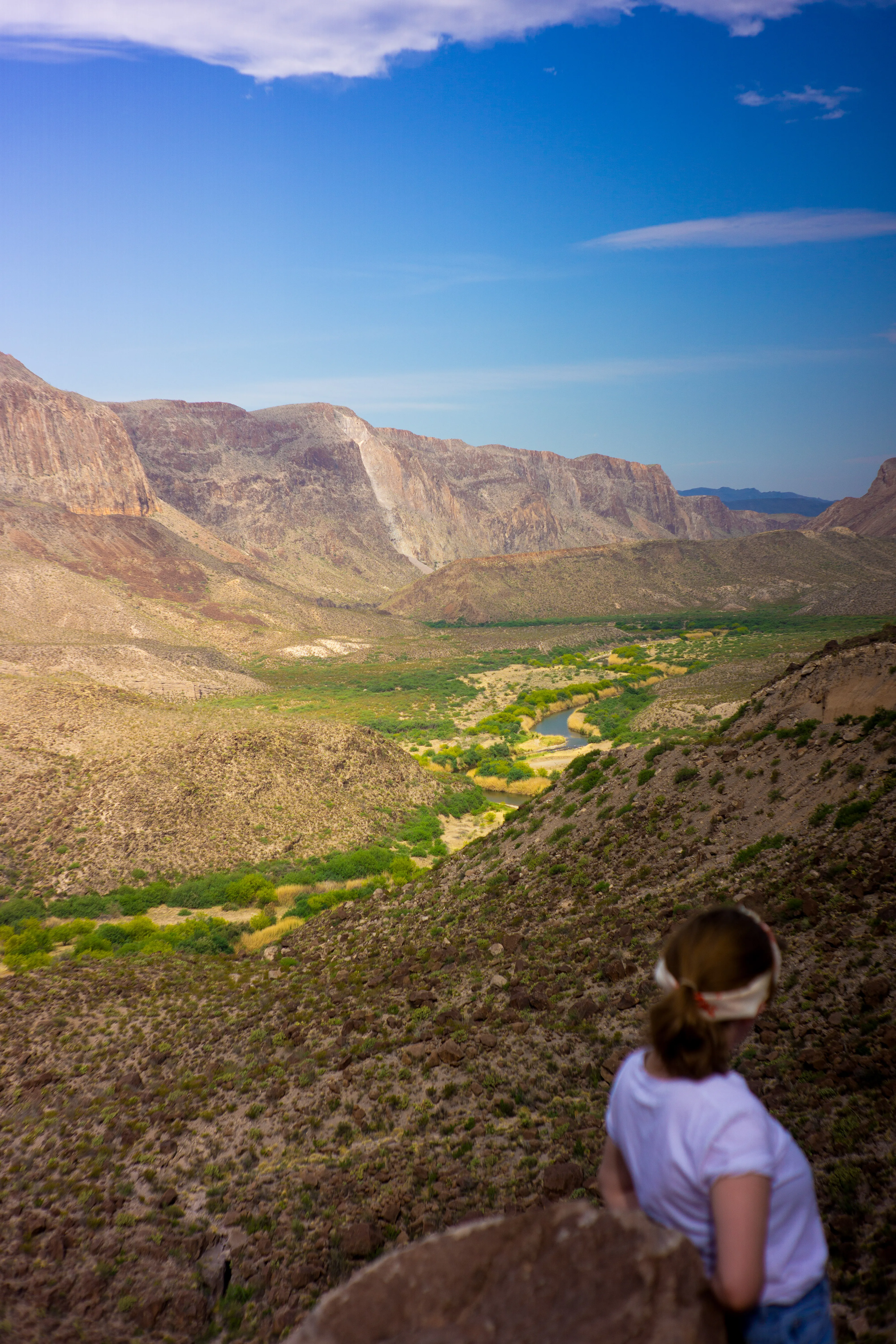 A vertical shot of a woman leaning on a rock looking down into a green valley.