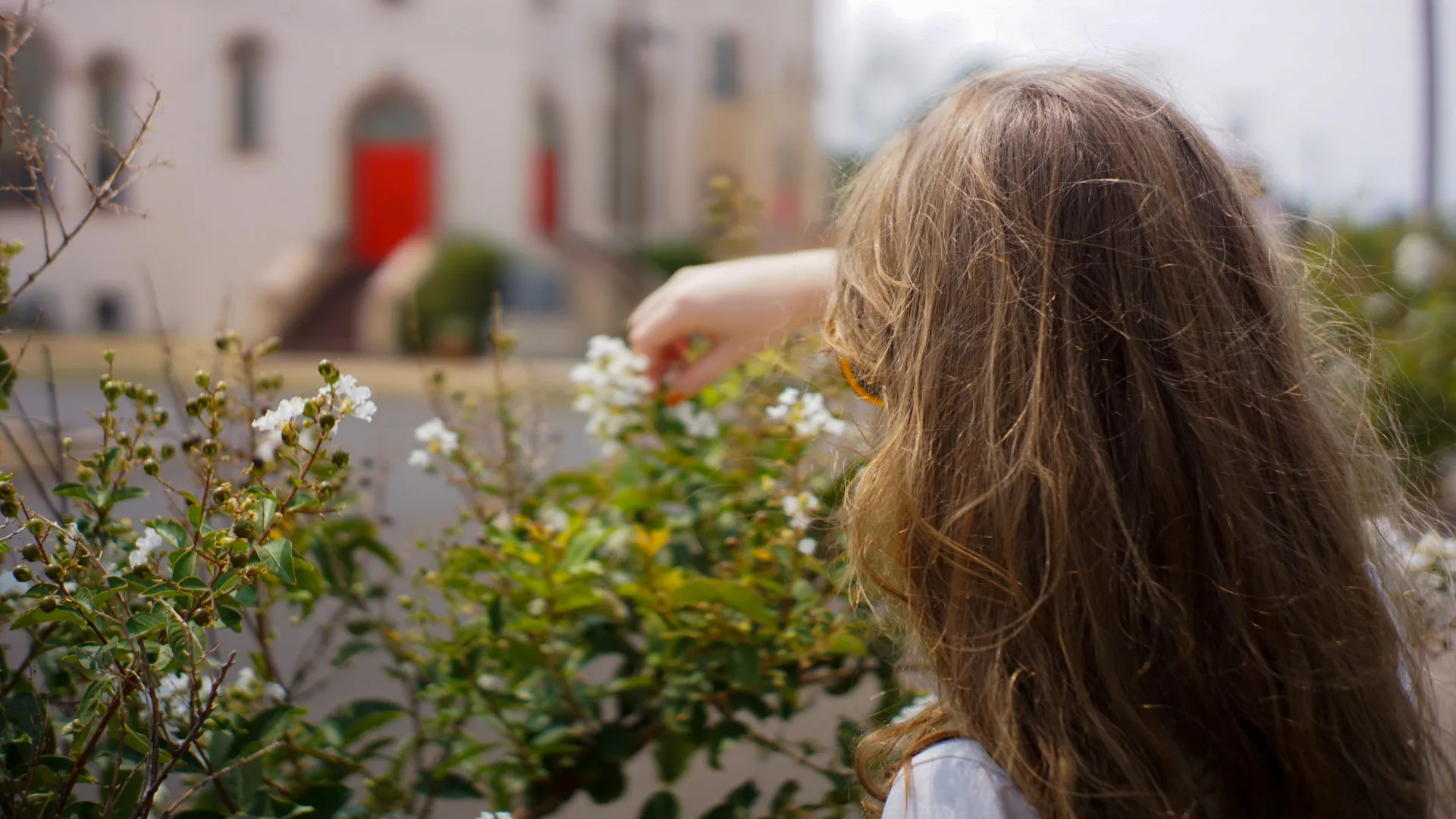 A woman picking a flower from a bush, taken from the back.