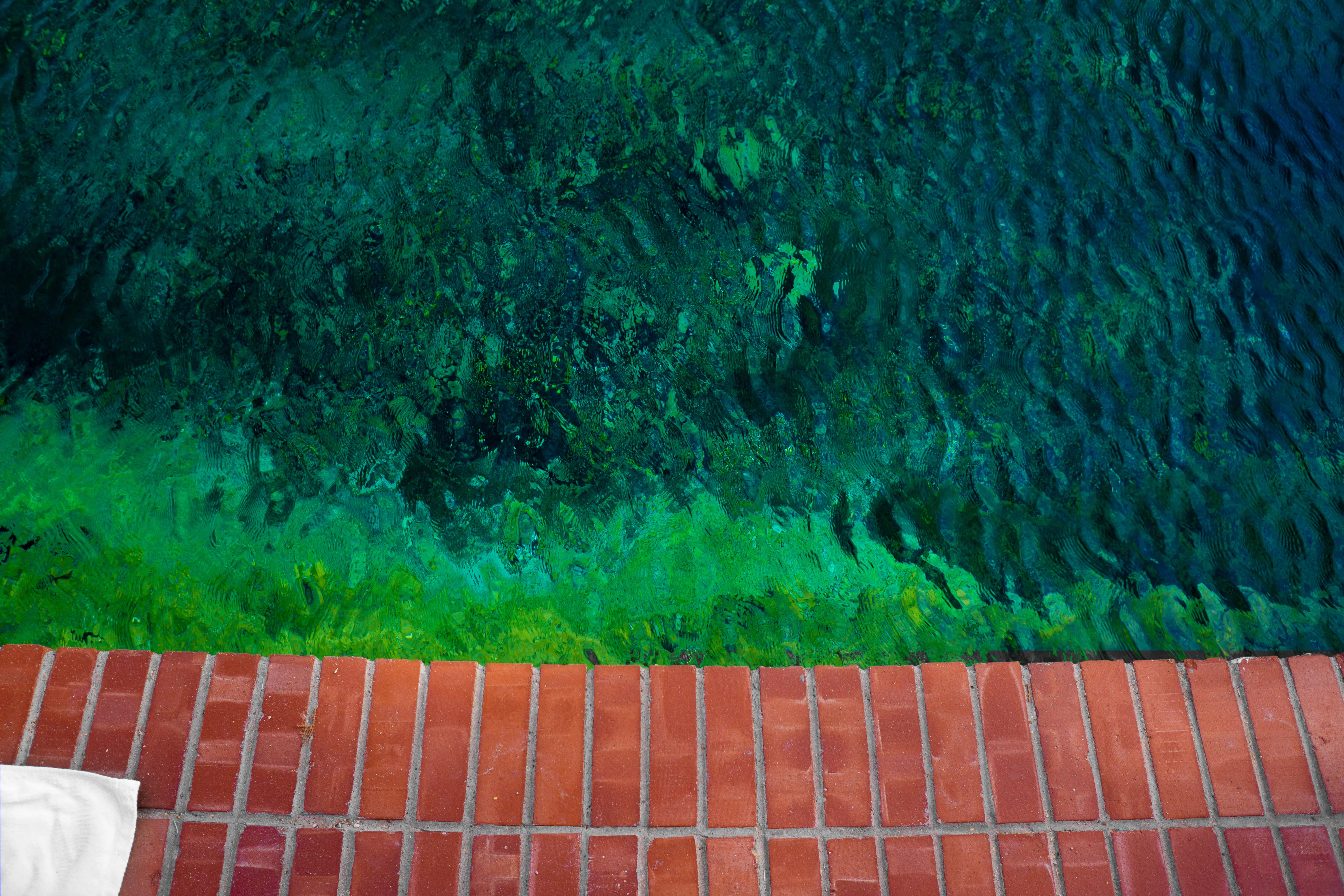 Clear, rippled water next to a red brick walkway.