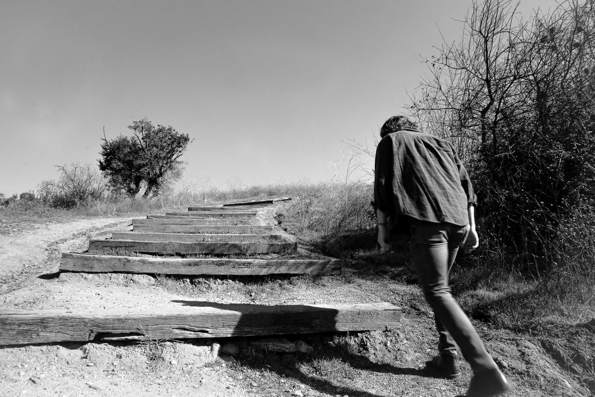 A man walking up a wooden staircase in a park.