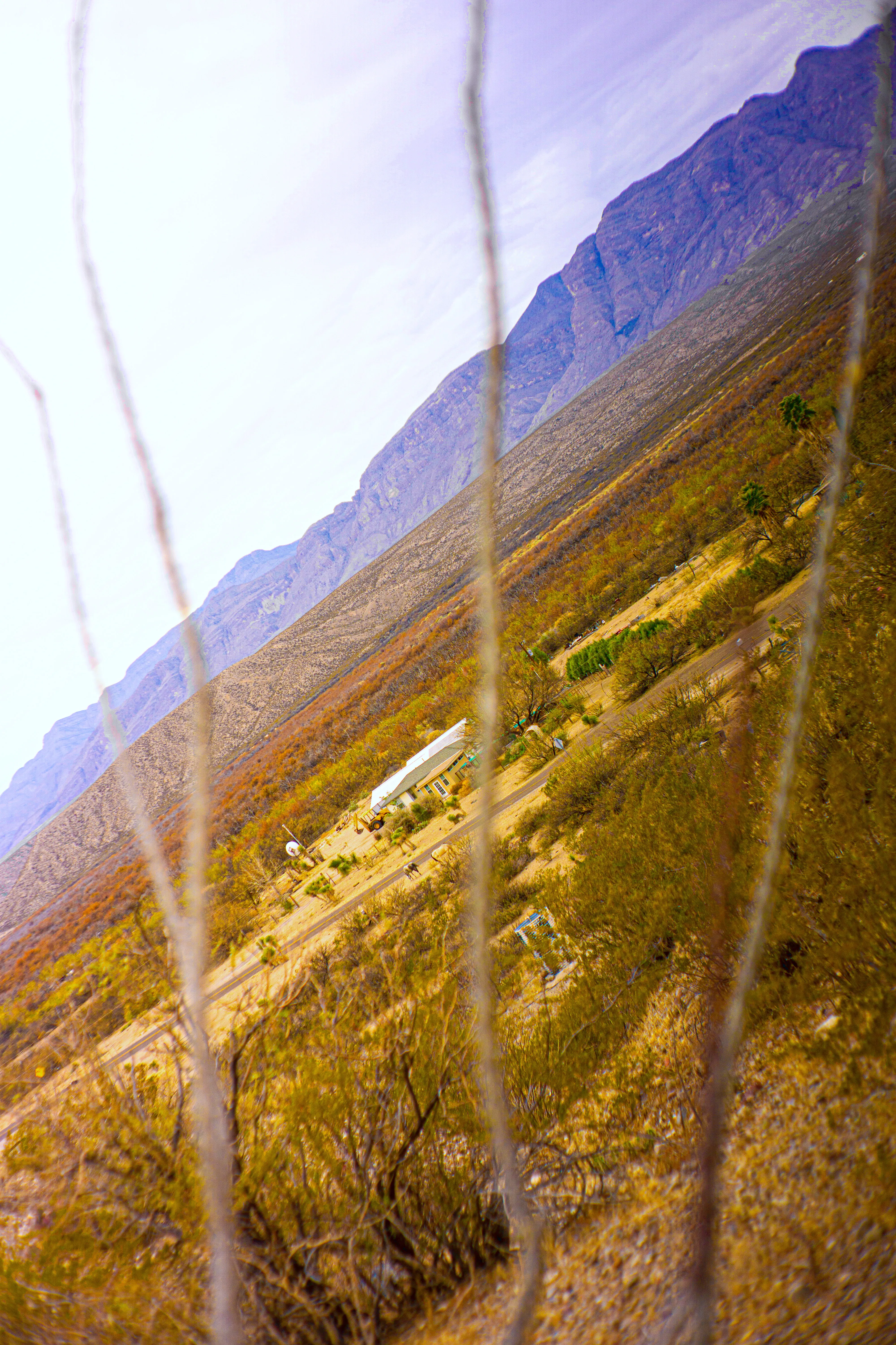 An angled landscape of a valley and mountains with an ocotillo in the foreground.