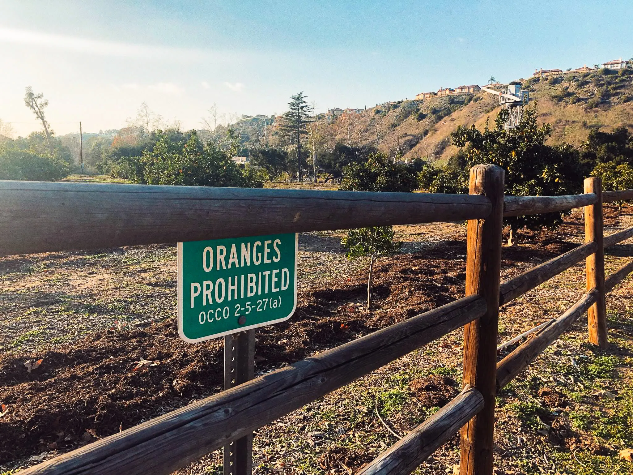 A wooden fence with a sign behind it that reads "Oranges Prohibited."