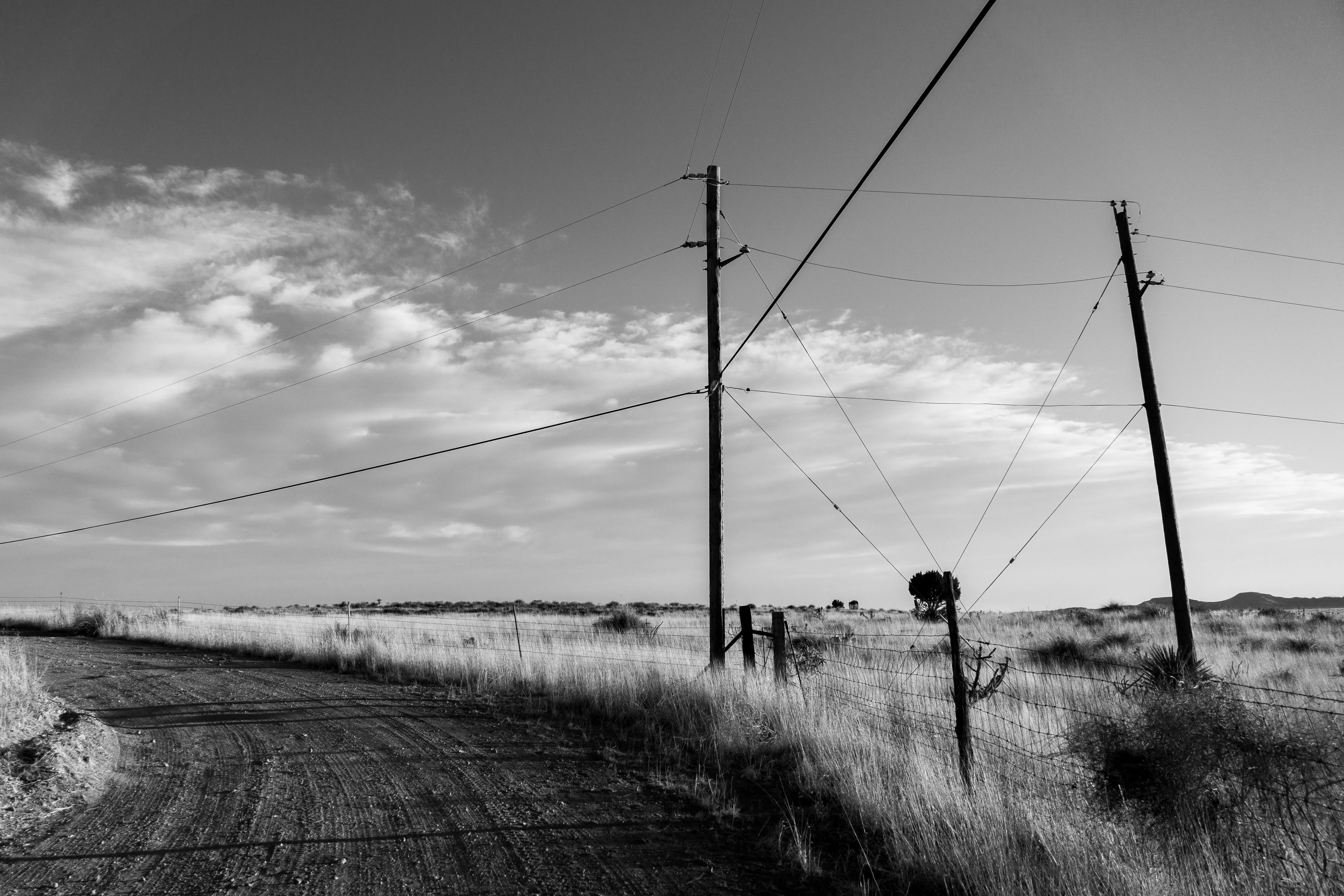 A curving gravel road running along a pasture, with phone lines criss-crossing overhead.